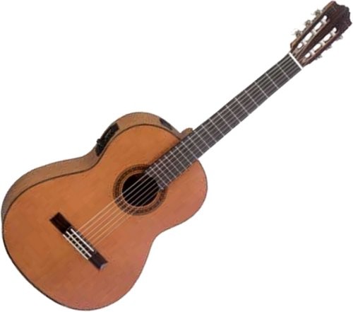 YAMAHA CGX-101A
