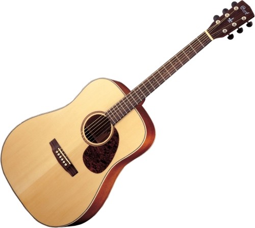 CORT EARTH 100NS