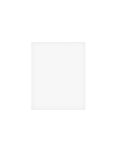 BOSTON GG-CL ZELFKLEVEND - SLAGPLAAT TRANSPARANT 20X25CM DUN