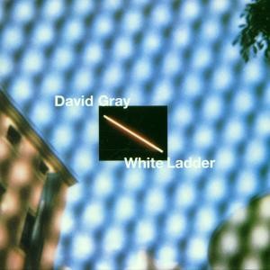 GRAY, DAVID