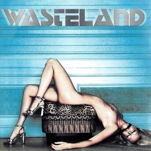 VARIOUS - WASTELAND - cd