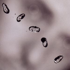 PETER GABRIEL