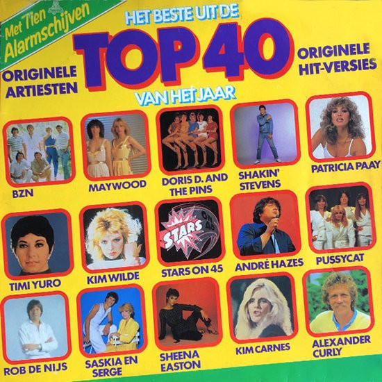 VARIOUS - HET BESTE UIT DE TOP 40 VAN HET JAAR 1981 -2VINYL-