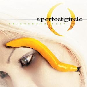 A PERFECT CIRCLE - THIRTEENTH STEP - cd