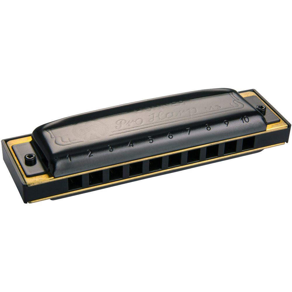 HOHNER PRO HARP 562/20 F# - MONDHARMONICA FIS