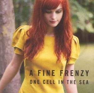 A FINE FRENZY