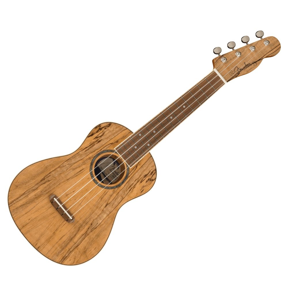 FENDER ZUMA EXOTIC UKE SPALTED WN