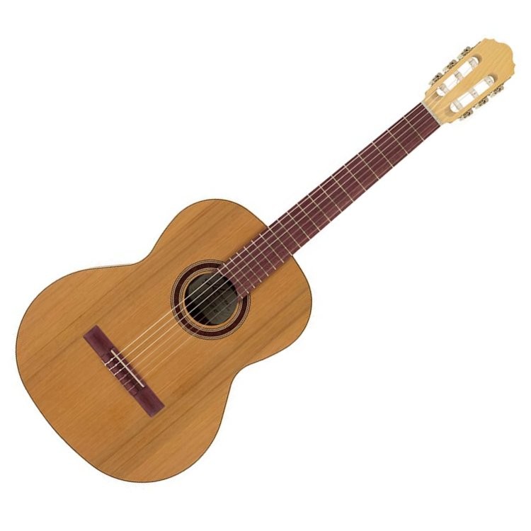 KREMONA GG65C GREEN GLOBE - GITAAR KLASSIEK SOLID CEDAR AND SAPELE