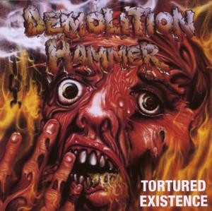 DEMOLITION HAMMER
