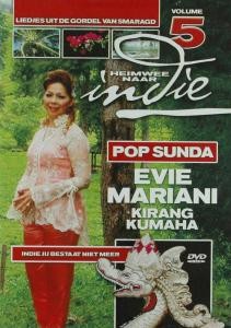 VARIOUS - HEIMWEE NAAR INDIE VOL. 5 - dvd