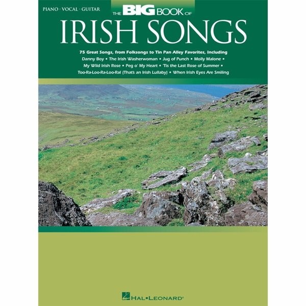 BLADMUZIEK - BIG BOOK OF IRISH SONGS -PIANO ZANG GITAAR- - bladmuziek