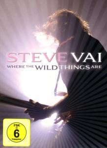VAI, STEVE