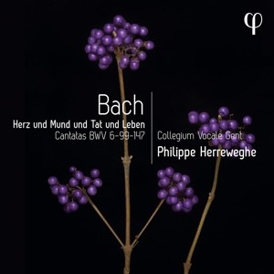 HERREWEGHE, PHILIPPE - HERZ UND MUND UND TAT UND LEBEN - cd
