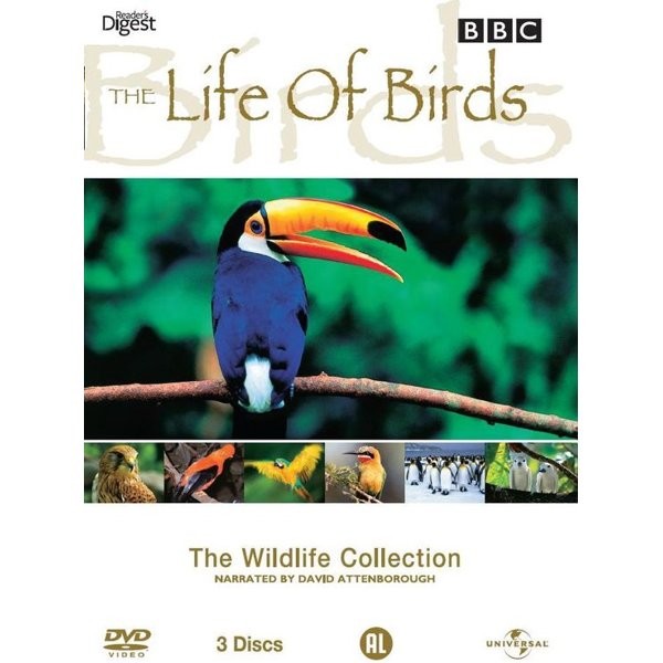 DOCUMENTARY - LIFE OF BIRDS