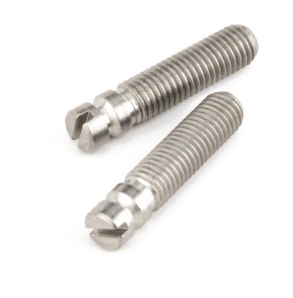 FENDER BRIDGE PIVOT SCREWS (2) - SCHARNIERSCHROEVEN BRUG