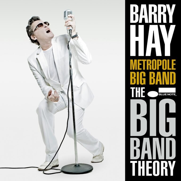 HAY, BARRY -WITH THE METROPOLE BIG BAND- - BIG BAND THEORY -LP RSD 24-