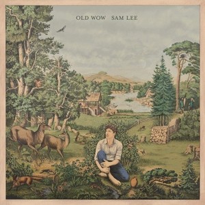 LEE, SAM - OLD WOW - cd