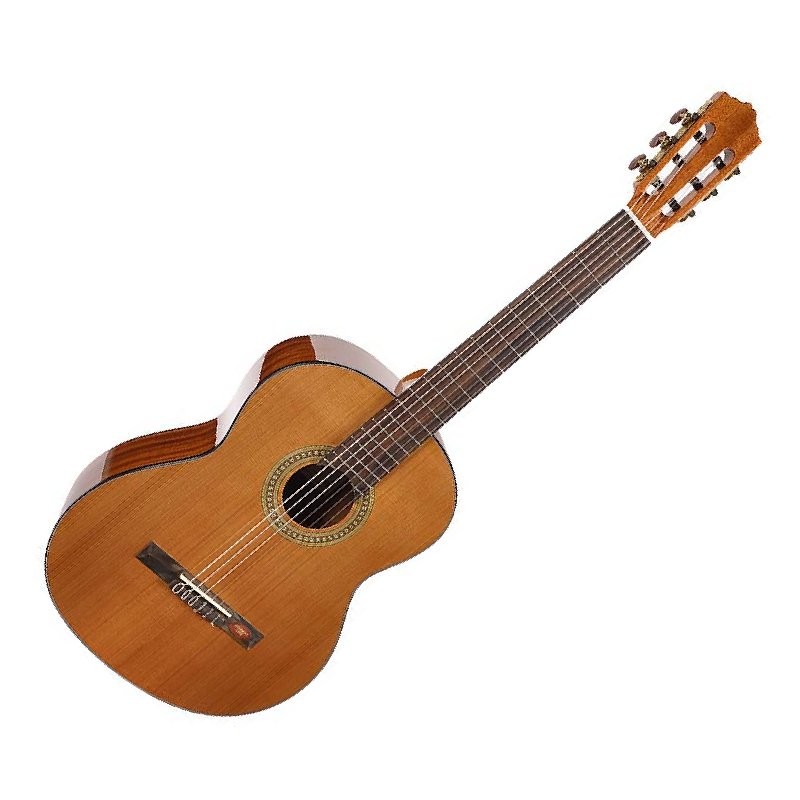 SALVADOR CORTEZ CC-10 STUDENT SERIES - GITAAR KLASSIEK CEDAR TOP