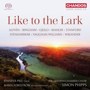 PIKE, JENNIFER - LIKE TO THE LARK - super, audio, cd