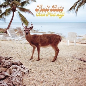 FRUIT BATS - GOLD PAST LIFE - cd