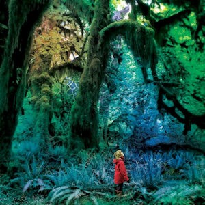 GARDNER, JACCO - CABINET OF CURIOSITIES