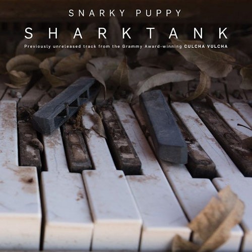 SNARKY PUPPY - SHARK TANK -RSD- EP