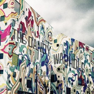 DANDY WARHOLS - WHY YOU SO CRAZY - cd