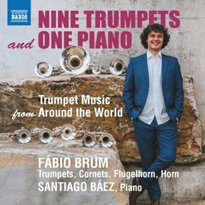 BRUM, FABIO / SANTIAGO BAEZ - NINE TRUMPETS AND ONE PIANO - cd