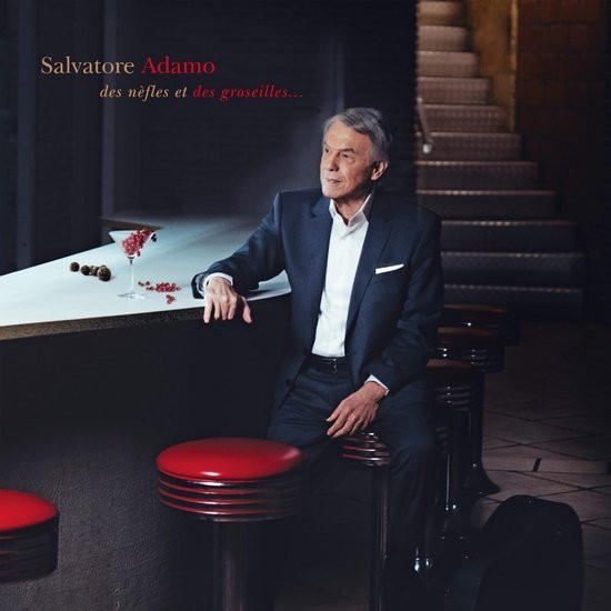 ADAMO, SALVATORE - DES NEFLES ET DES GROSEILLES... - cd