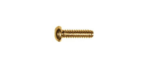 BOSTON SS-20-G 12 STUKS - SCHROEF 3.4X12MM GOLD USA SWITCH