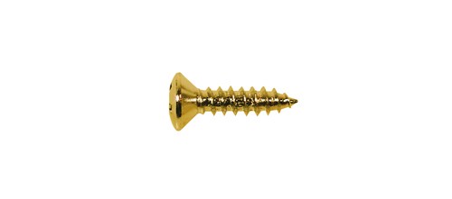BOSTON TS-01-G 12 STUKS - SCHROEF VERGULD 3X12MM