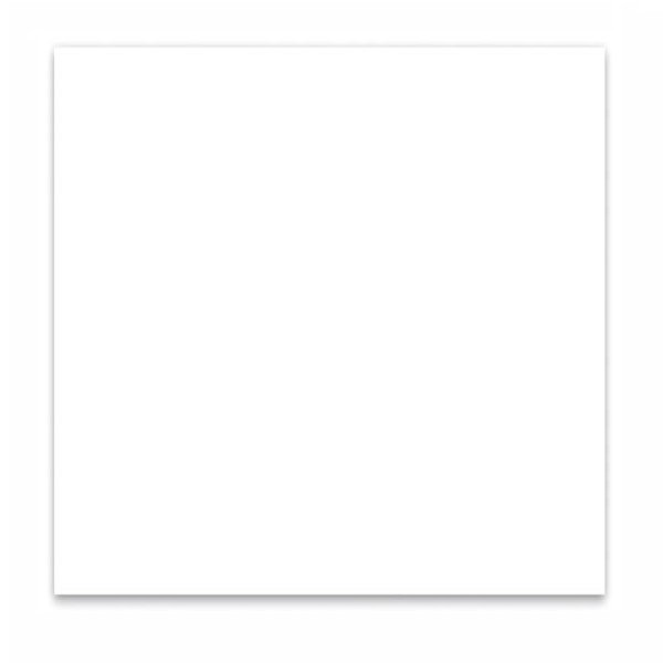 BOSTON PG-133-W - SLAGPLAAT ENKELLAAGS WIT 30X30CM