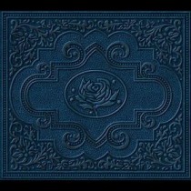 ADAMS, RYAN - COLD ROSES