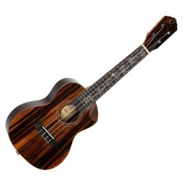 ORTEGA RUET-EB ELITE SERIES - UKELELE CONCERT SOLID EBONY TOP + GIG BAG