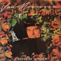 MORRISON, VAN - A SENSE OF WONDER -VINYL-