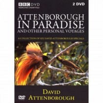 ATTENBOROUGH, DAVID - IN PARADISE - Dvd, 2e hands