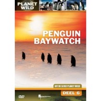 DOCUMENTARY - PENGUIN BAYWATCH