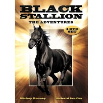 TV SERIES - BLACK STALLION - ADVENTURES