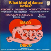 VARIOUS - WHAT KIND OF DANCE IS THIS? DISCO LOVE DISCO -VINYL-