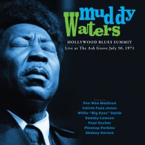 WATERS, MUDDY - HOLLYWOOD BLUES SUMMIT 1971 -RSD 23- - Lp