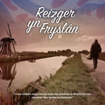 VARIOUS - REIZGER YN FRYSLAN -BOUDEWIJN DE GROOT IN HET FRIES 2- - cd