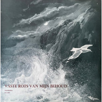 VARIOUS - VASTE ROTS VAN MIJN BEHOUD -VINYL-
