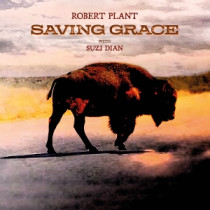 PLANT, ROBERT - SAVING GRACE -LP-