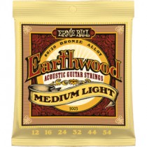 ERNIE BALL 2003 EARTHWOOD MEDIUM LIGHT - SNAREN 012-053 80/20 BRONZE