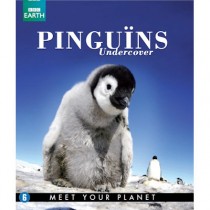Blu-ray DOCUMENTAIRE - PINGUINS UNDERCOVER - BBC EARTH
