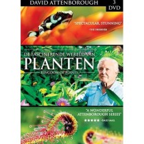 ATTENBOROUGH, DAVID - KINGDOM OF PLANTS - Dvd