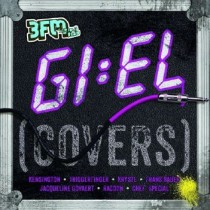 VARIOUS - GIEL MEGA COVERS II