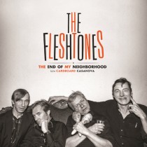 FLESHTONES - END OF MY NEIGHBORHOOD -7"-