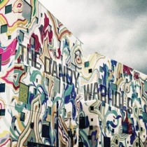 DANDY WARHOLS - WHY YOU SO CRAZY - cd