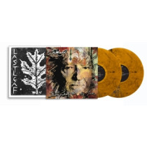 NELSON, WILLIE - LAST LEAF ON THE TREE -2LP-
